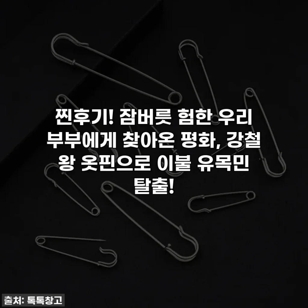 찐후기! 잠버릇 험한 우리 부부에게 찾아온 평화, 강철 왕 옷핀으로 이불 유목민 탈출!
