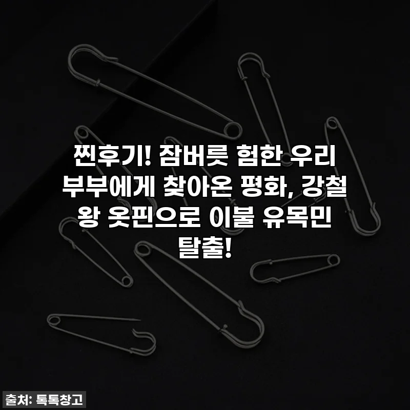 찐후기! 잠버릇 험한 우리 부부에게 찾아온 평화, 강철 왕 옷핀으로 이불 유목민 탈출!