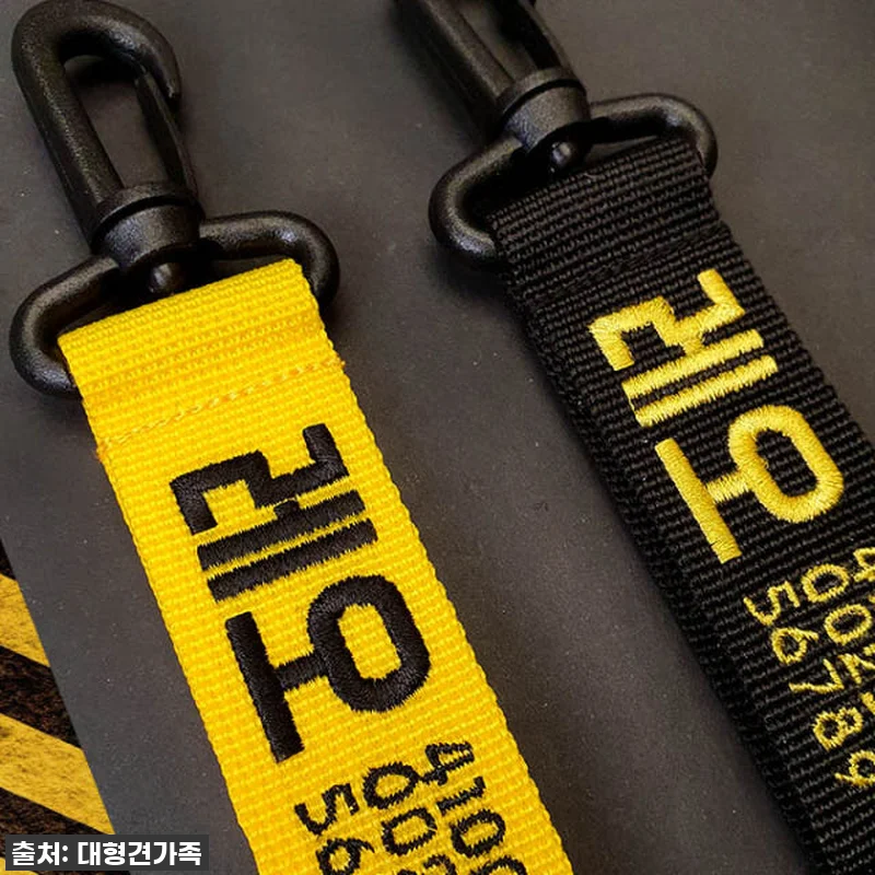 우리 댕댕이에게 찰떡! 강아지 네임택 관련 이미지 1
