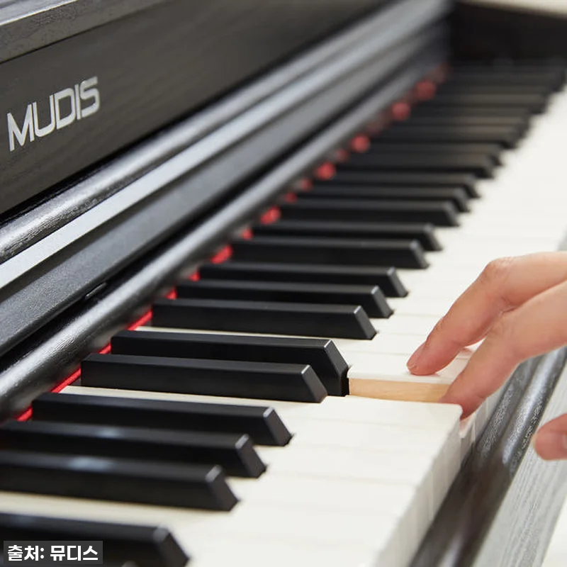 역대급 할인가 놓치지 마세요! 뮤디스 관련 이미지 2
