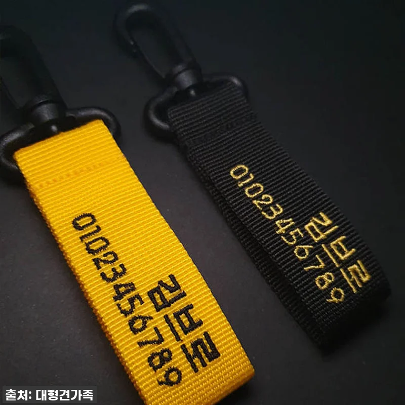 우리 댕댕이에게 찰떡! 강아지 네임택 관련 이미지 3