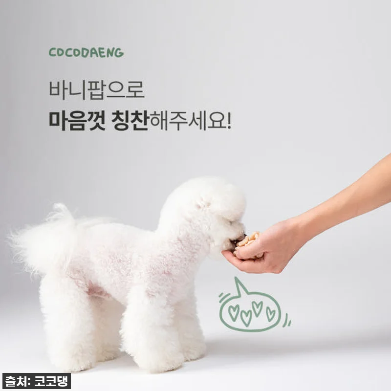 강아지 간식 유목민 종착역?! 코코댕 관련 이미지 4