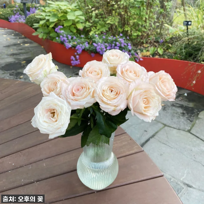 두근두근 설렘 가득! 🎁 양재꽃시장 관련 이미지 7