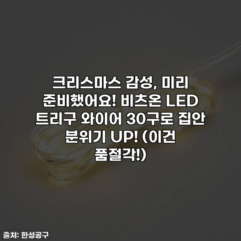 크리스마스 감성, 미리 준비했어요! 비츠온 LED 트리구 와이어 30구로 집안 분위기 UP! (이건 품절각!)