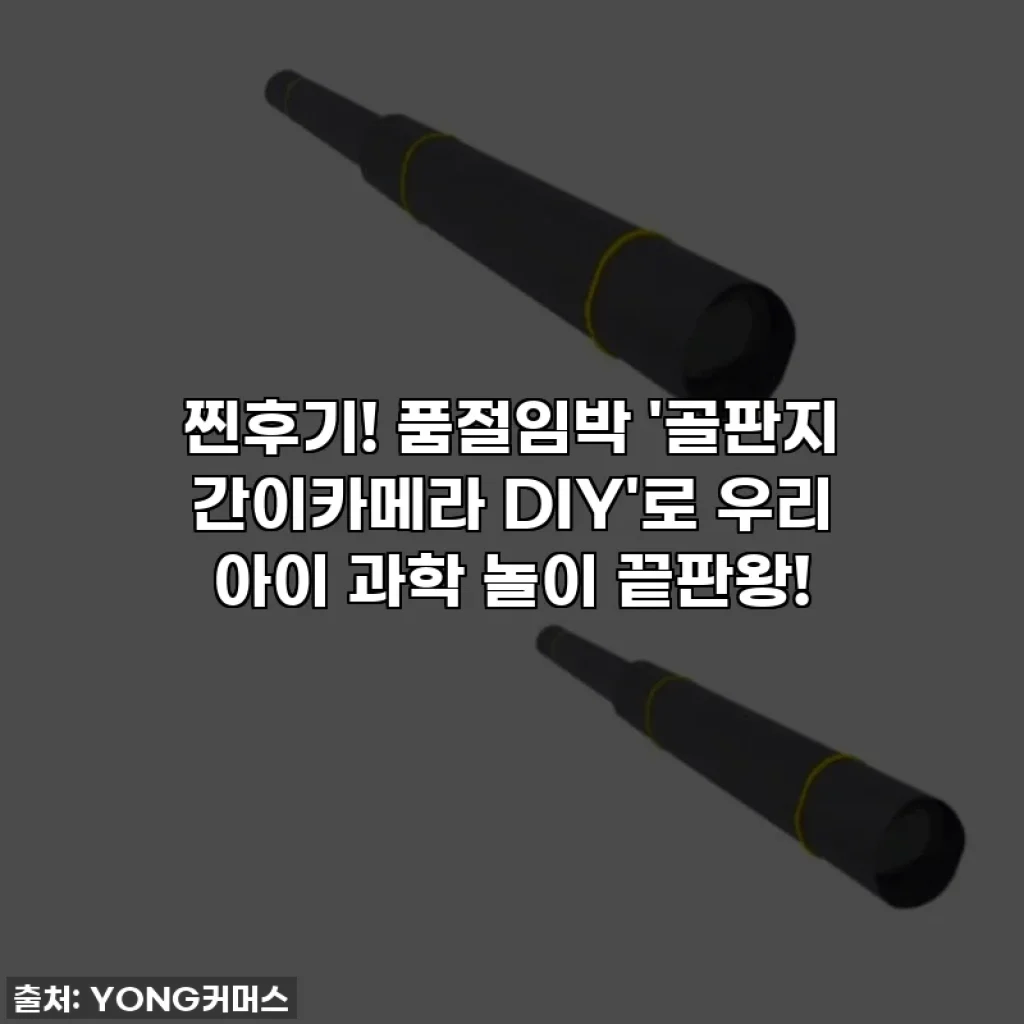 찐후기! 품절임박 '골판지 간이카메라 DIY'로 우리 아이 과학 놀이 끝판왕!