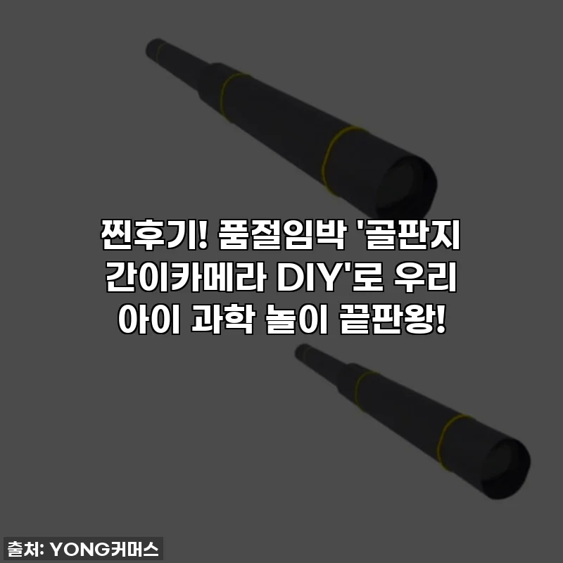 찐후기! 품절임박 '골판지 간이카메라 DIY'로 우리 아이 과학 놀이 끝판왕!