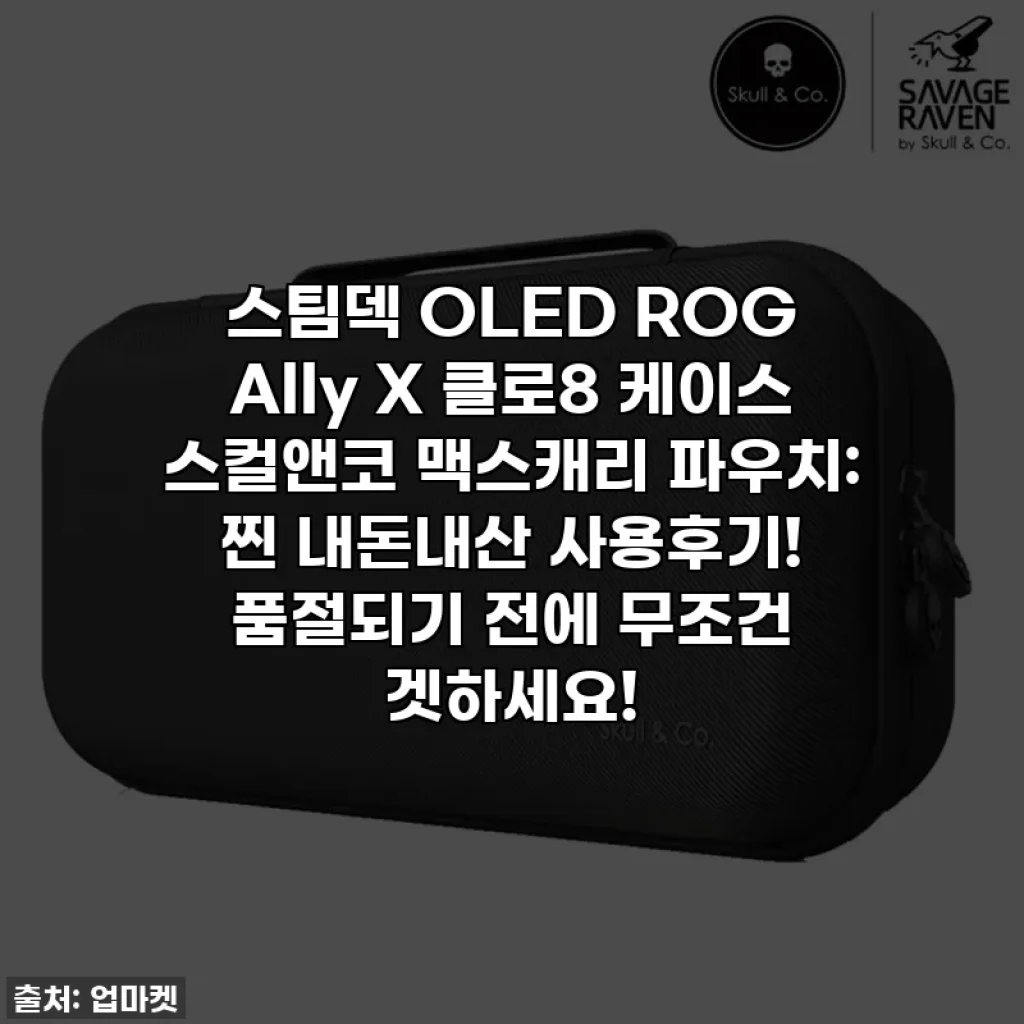 스팀덱 OLED ROG Ally X 클로8 케이스 스컬앤코 맥스캐리 파우치: 찐 내돈내산 사용후기! 품절되기 전에 무조건 겟하세요!