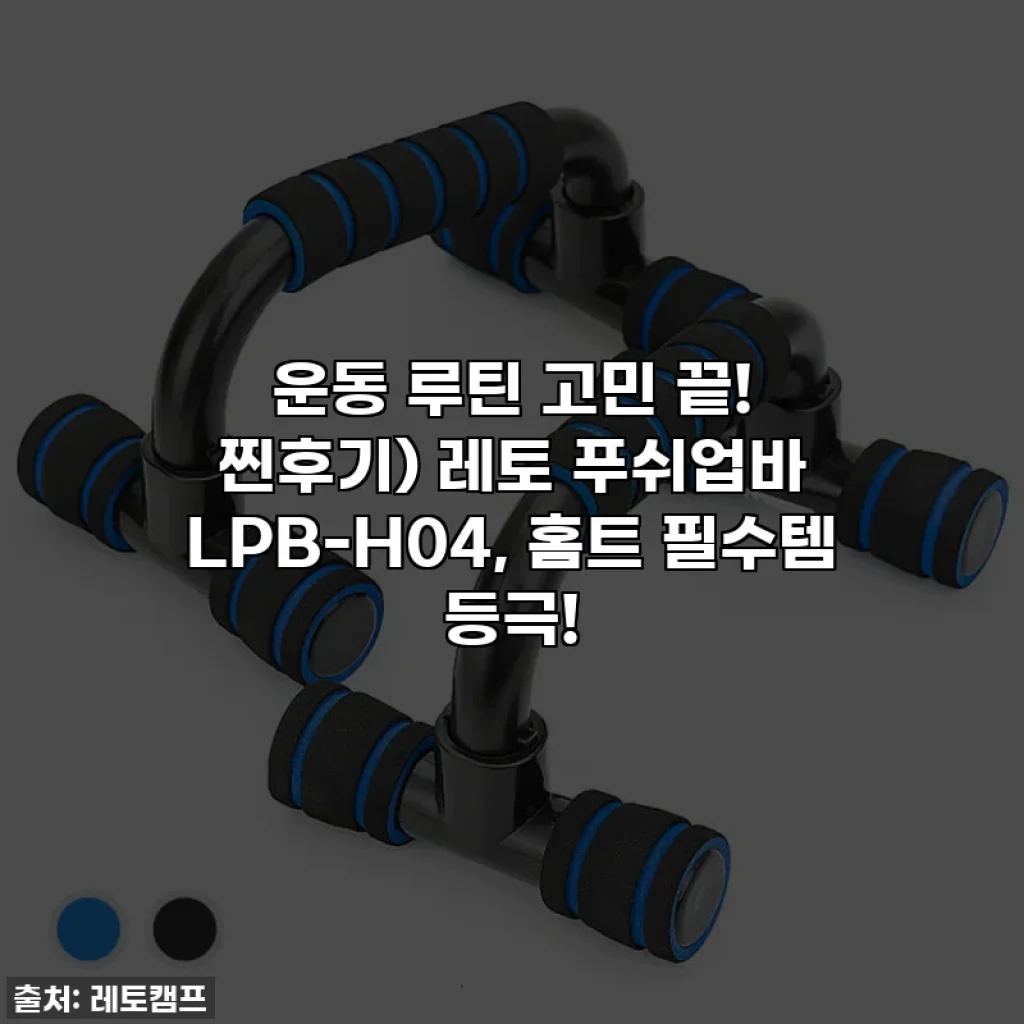 운동 루틴 고민 끝! 찐후기) 레토 푸쉬업바 LPB-H04, 홈트 필수템 등극!