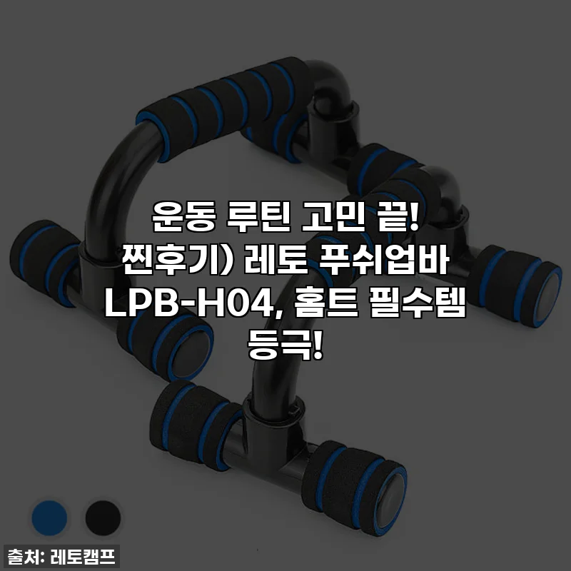 운동 루틴 고민 끝! 찐후기) 레토 푸쉬업바 LPB-H04, 홈트 필수템 등극!