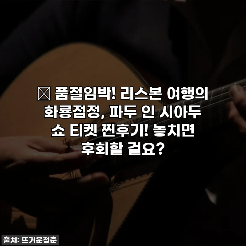 ✨ 품절임박! 리스본 여행의 화룡점정, 파두 인 시아두 쇼 티켓 찐후기! 놓치면 후회할 걸요?