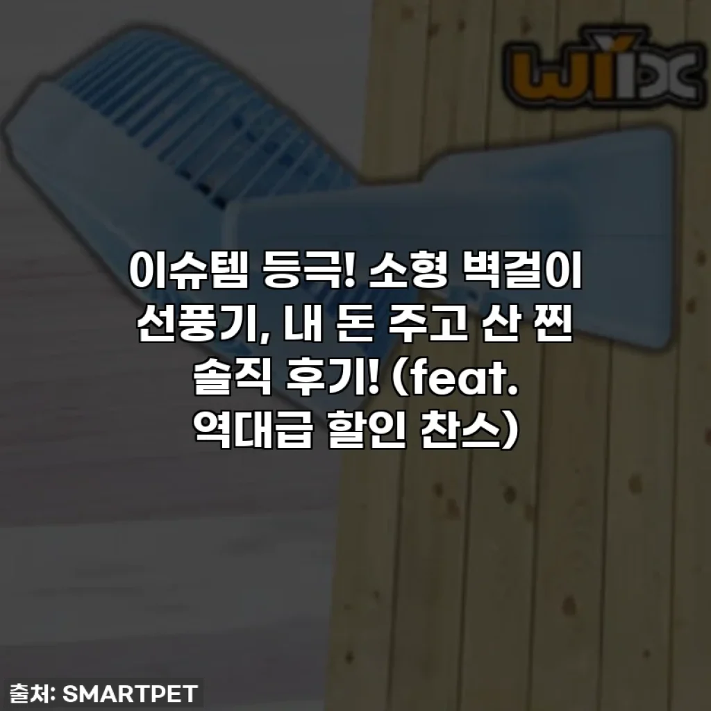 이슈템 등극! 소형 벽걸이 선풍기, 내 돈 주고 산 찐 솔직 후기! (feat. 역대급 할인 찬스)