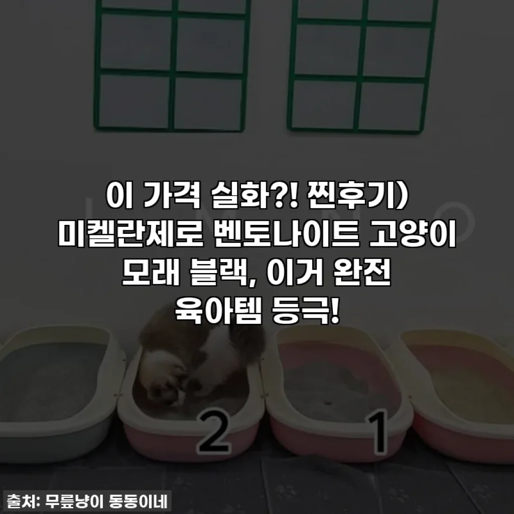이 가격 실화?! 찐후기) 미켈란제로 벤토나이트 고양이 모래 블랙, 이거 완전 육아템 등극!