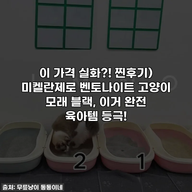 이 가격 실화?! 찐후기) 미켈란제로 벤토나이트 고양이 모래 블랙, 이거 완전 육아템 등극!