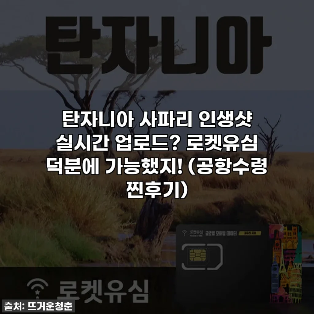 탄자니아 사파리 인생샷 실시간 업로드? 로켓유심 덕분에 가능했지! (공항수령 찐후기)