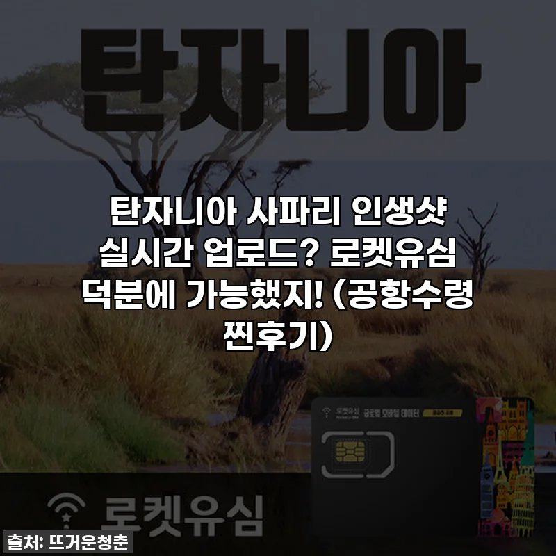 탄자니아 사파리 인생샷 실시간 업로드? 로켓유심 덕분에 가능했지! (공항수령 찐후기)