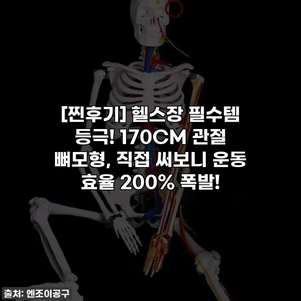 [찐후기] 헬스장 필수템 등극! 170CM 관절 뼈모형, 직접 써보니 운동 효율 200% 폭발!