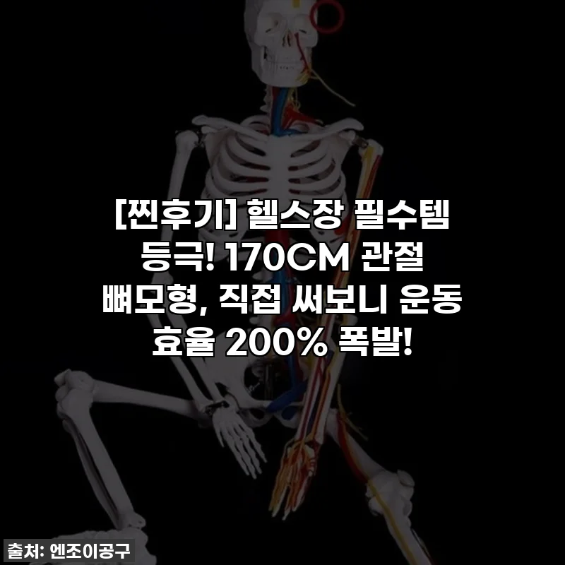 [찐후기] 헬스장 필수템 등극! 170CM 관절 뼈모형, 직접 써보니 운동 효율 200% 폭발!