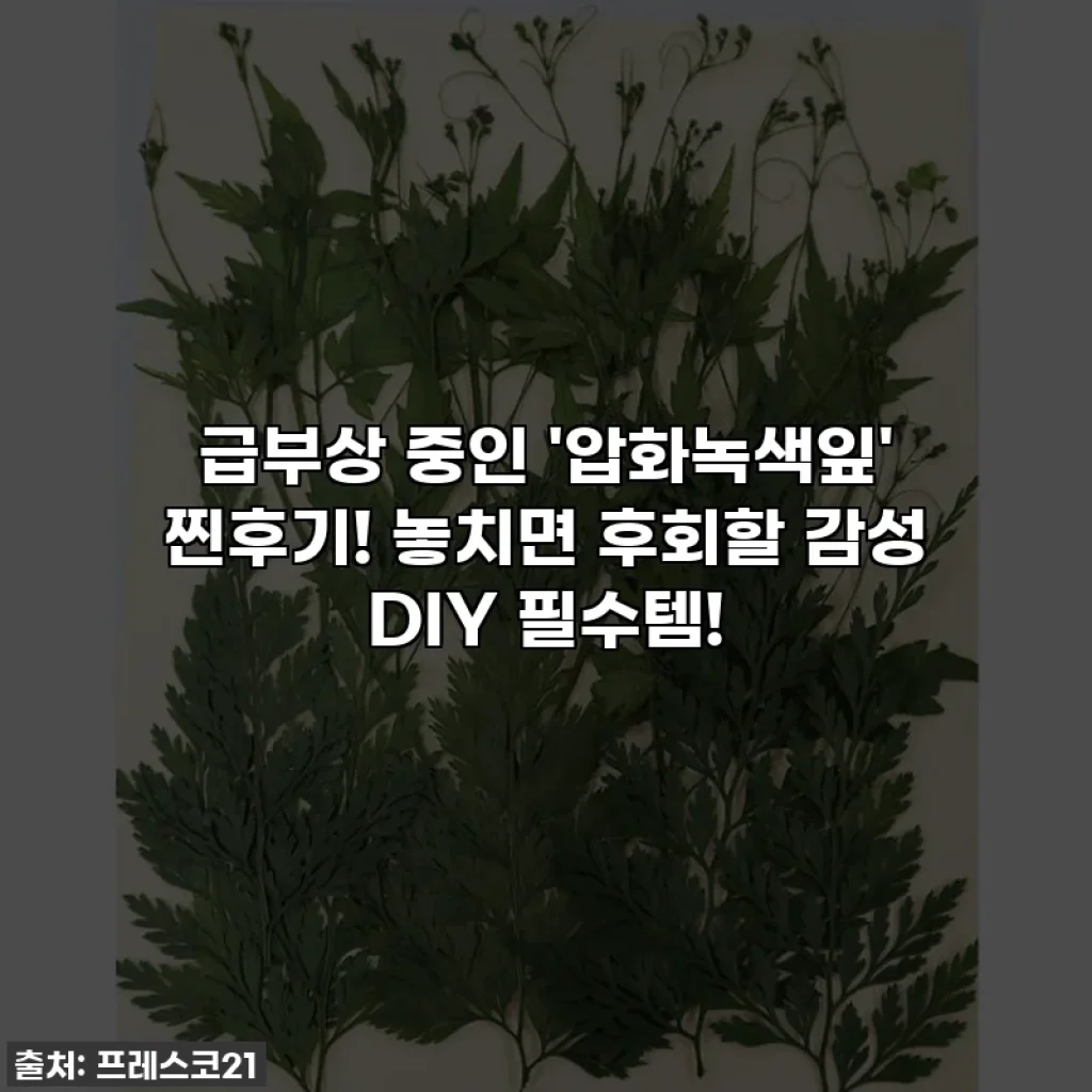급부상 중인 '압화녹색잎' 찐후기! 놓치면 후회할 감성 DIY 필수템!