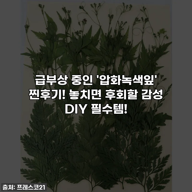 급부상 중인 '압화녹색잎' 찐후기! 놓치면 후회할 감성 DIY 필수템!