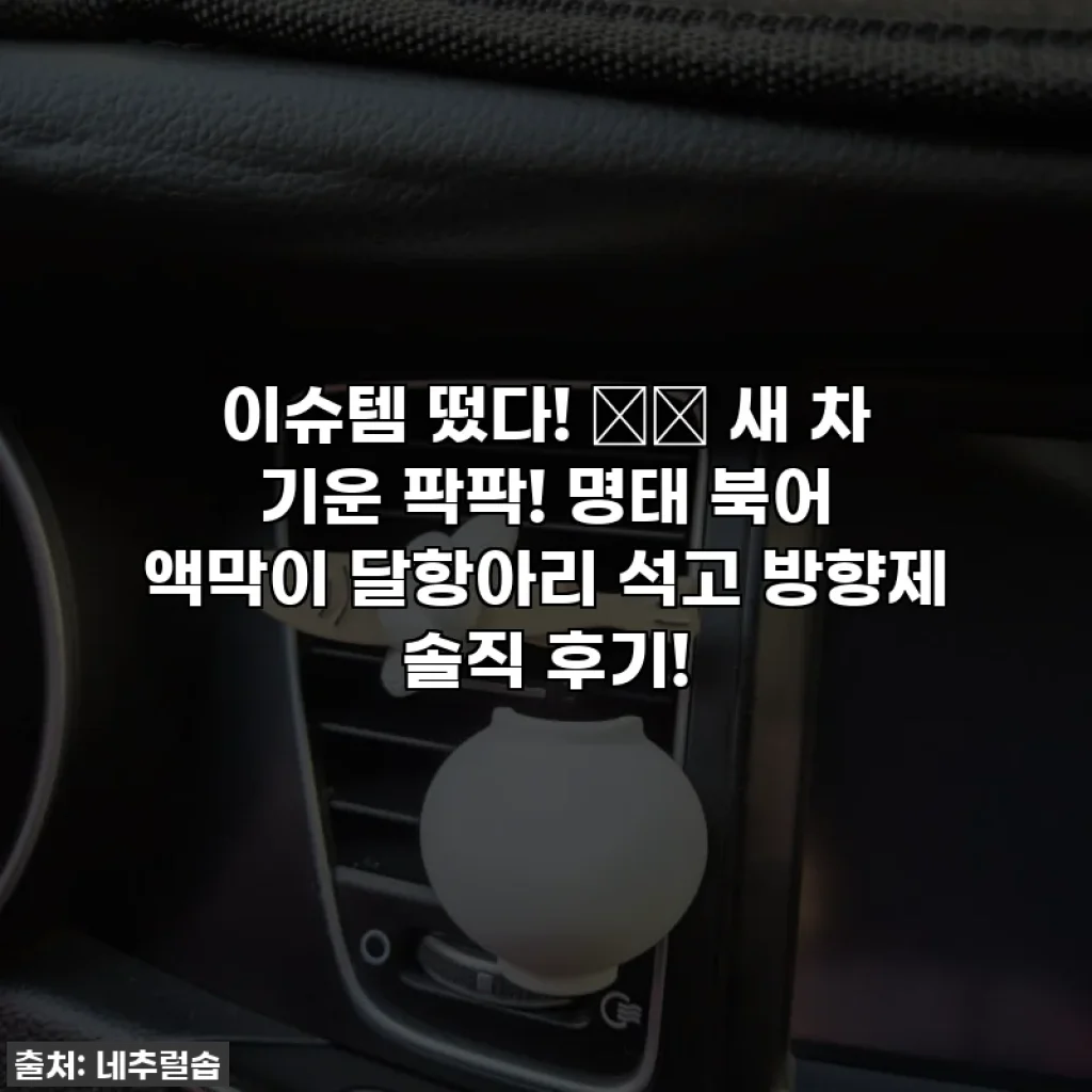 이슈템 떴다! 🚗✨ 새 차 기운 팍팍! 명태 북어 액막이 달항아리 석고 방향제 솔직 후기!