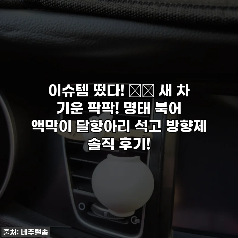이슈템 떴다! 🚗✨ 새 차 기운 팍팍! 명태 북어 액막이 달항아리 석고 방향제 솔직 후기!