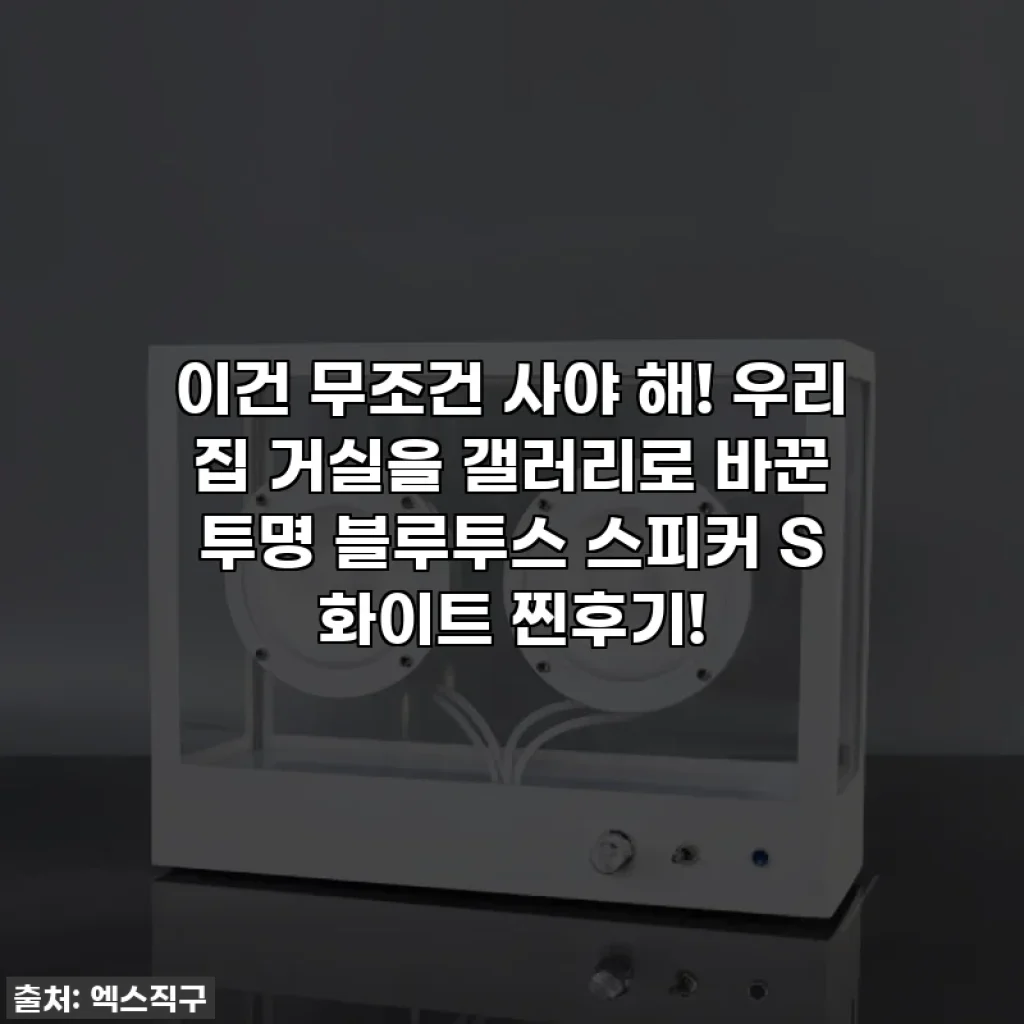 이건 무조건 사야 해! 우리 집 거실을 갤러리로 바꾼 투명 블루투스 스피커 S 화이트 찐후기!