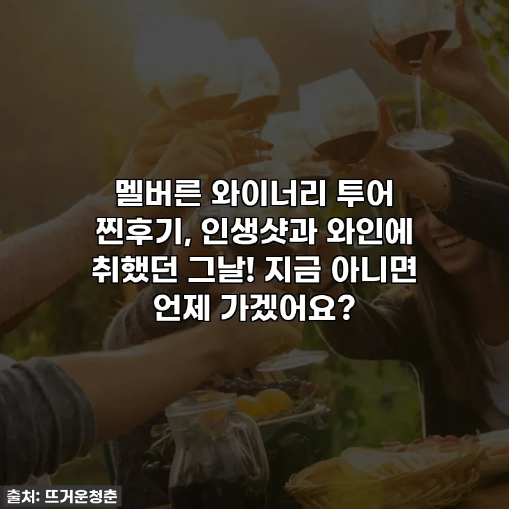 멜버른 와이너리 투어 찐후기, 인생샷과 와인에 취했던 그날! 지금 아니면 언제 가겠어요?