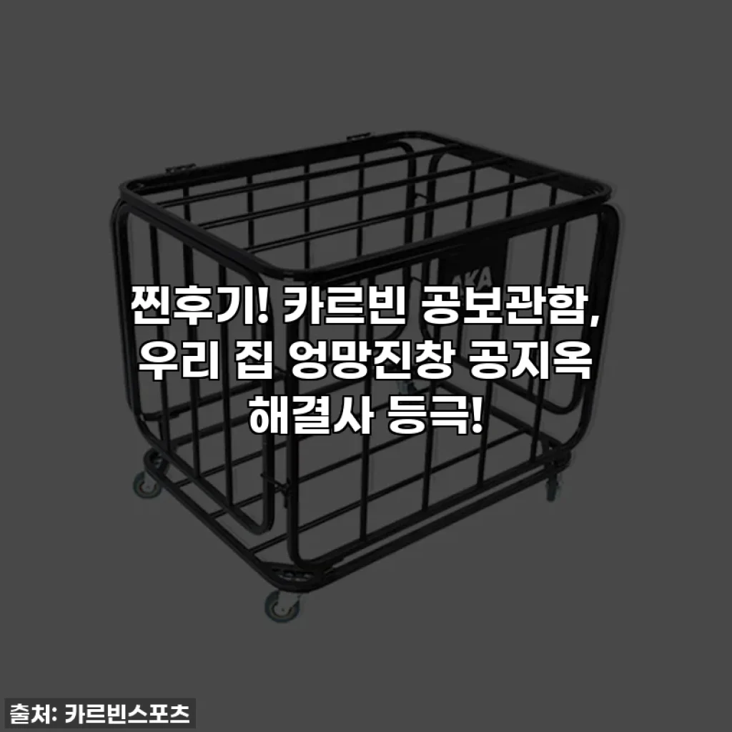 찐후기! 카르빈 공보관함, 우리 집 엉망진창 공지옥 해결사 등극!