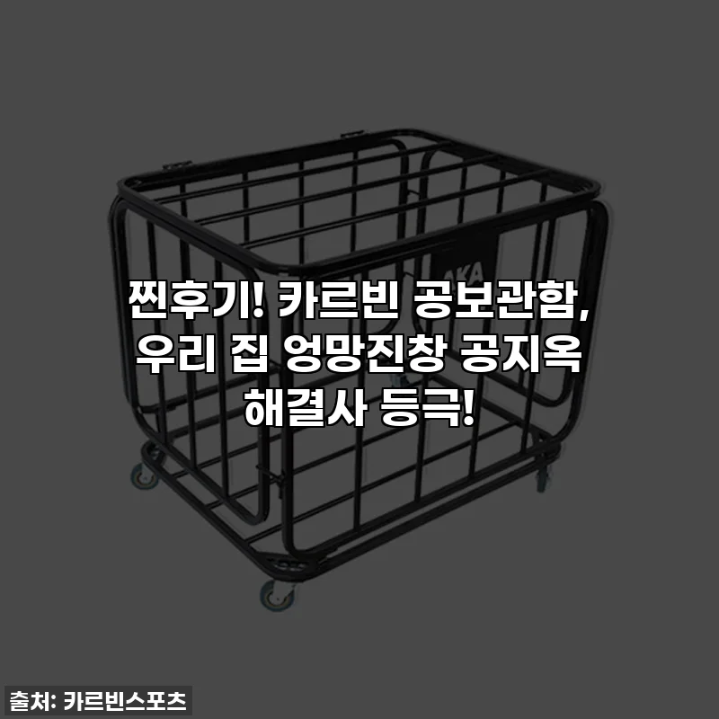 찐후기! 카르빈 공보관함, 우리 집 엉망진창 공지옥 해결사 등극!