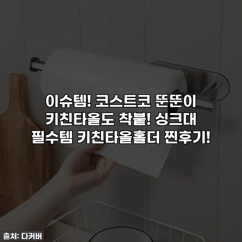 이슈템! 코스트코 뚠뚠이 키친타올도 착붙! 싱크대 필수템 키친타올홀더 찐후기!