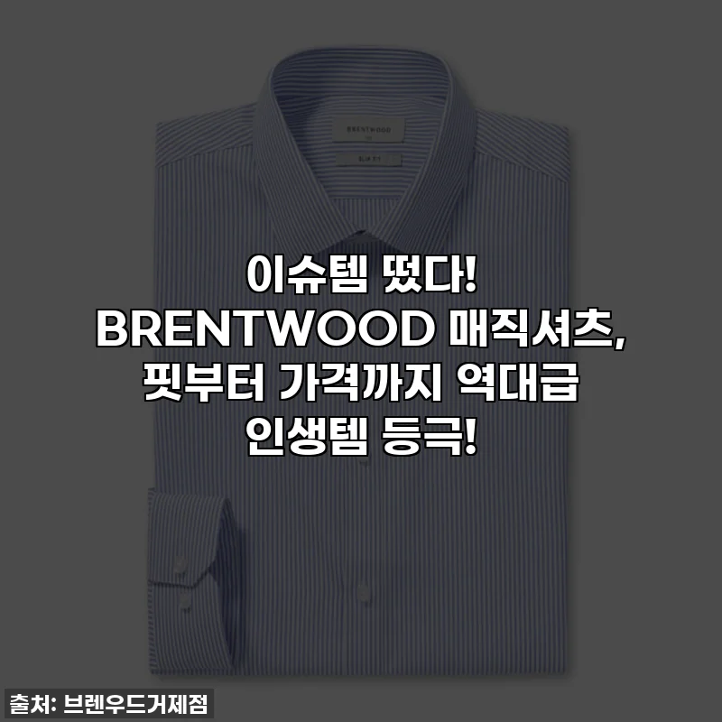 이슈템 떴다! BRENTWOOD 매직셔츠, 핏부터 가격까지 역대급 인생템 등극!