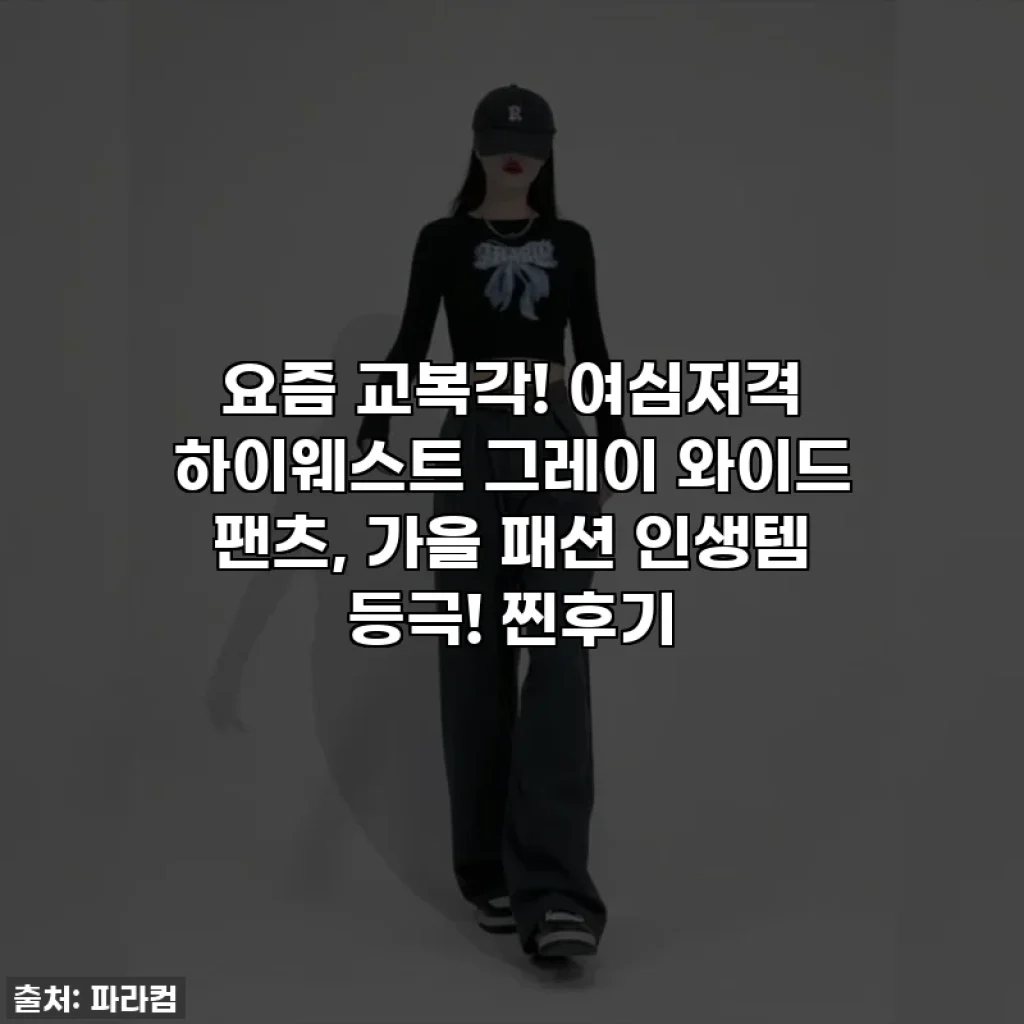 요즘 교복각! 여심저격 하이웨스트 그레이 와이드 팬츠, 가을 패션 인생템 등극! 찐후기
