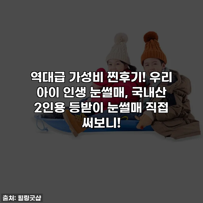 역대급 가성비 찐후기! 우리 아이 인생 눈썰매, 국내산 2인용 등받이 눈썰매 직접 써보니!