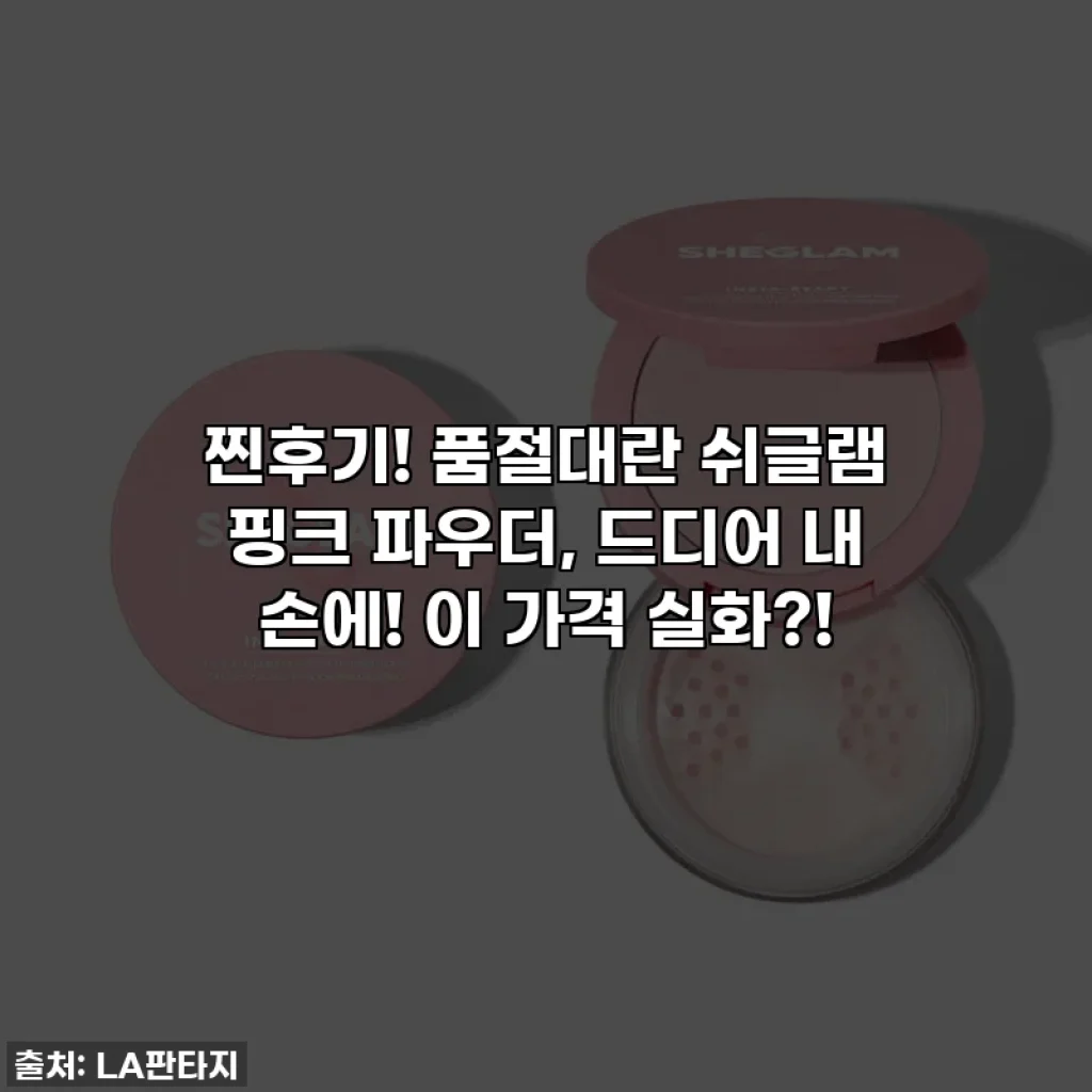 찐후기! 품절대란 쉬글램 핑크 파우더, 드디어 내 손에! 이 가격 실화?!