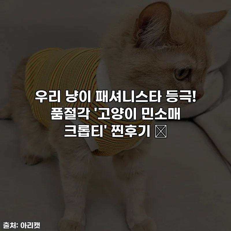 우리 냥이 패셔니스타 등극! 품절각 '고양이 민소매 크롭티' 찐후기 ✨