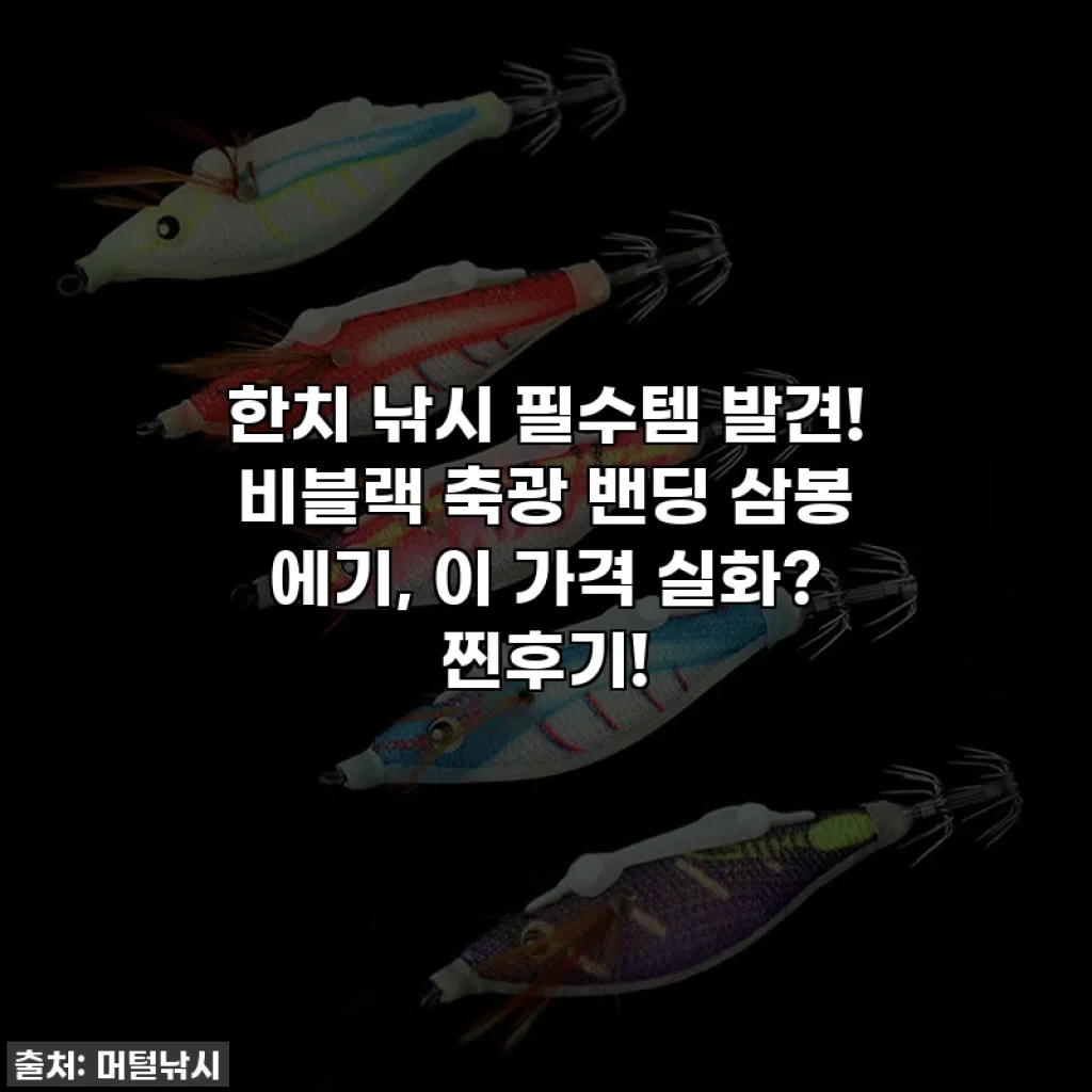 한치 낚시 필수템 발견! 비블랙 축광 밴딩 삼봉 에기, 이 가격 실화? 찐후기!