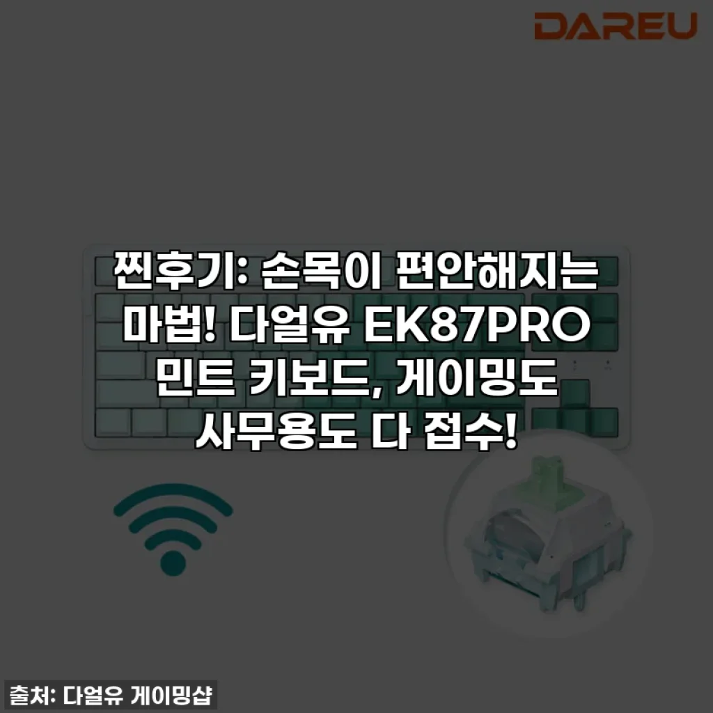 찐후기: 손목이 편안해지는 마법! 다얼유 EK87PRO 민트 키보드, 게이밍도 사무용도 다 접수!