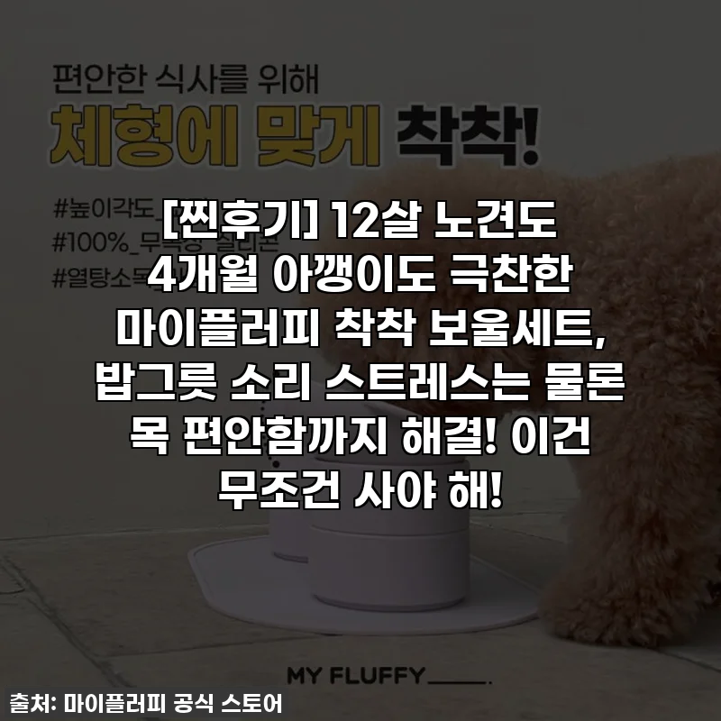 [찐후기] 12살 노견도 4개월 아깽이도 극찬한 마이플러피 착착 보울세트, 밥그릇 소리 스트레스는 물론 목 편안함까지 해결! 이건 무조건 사야 해!