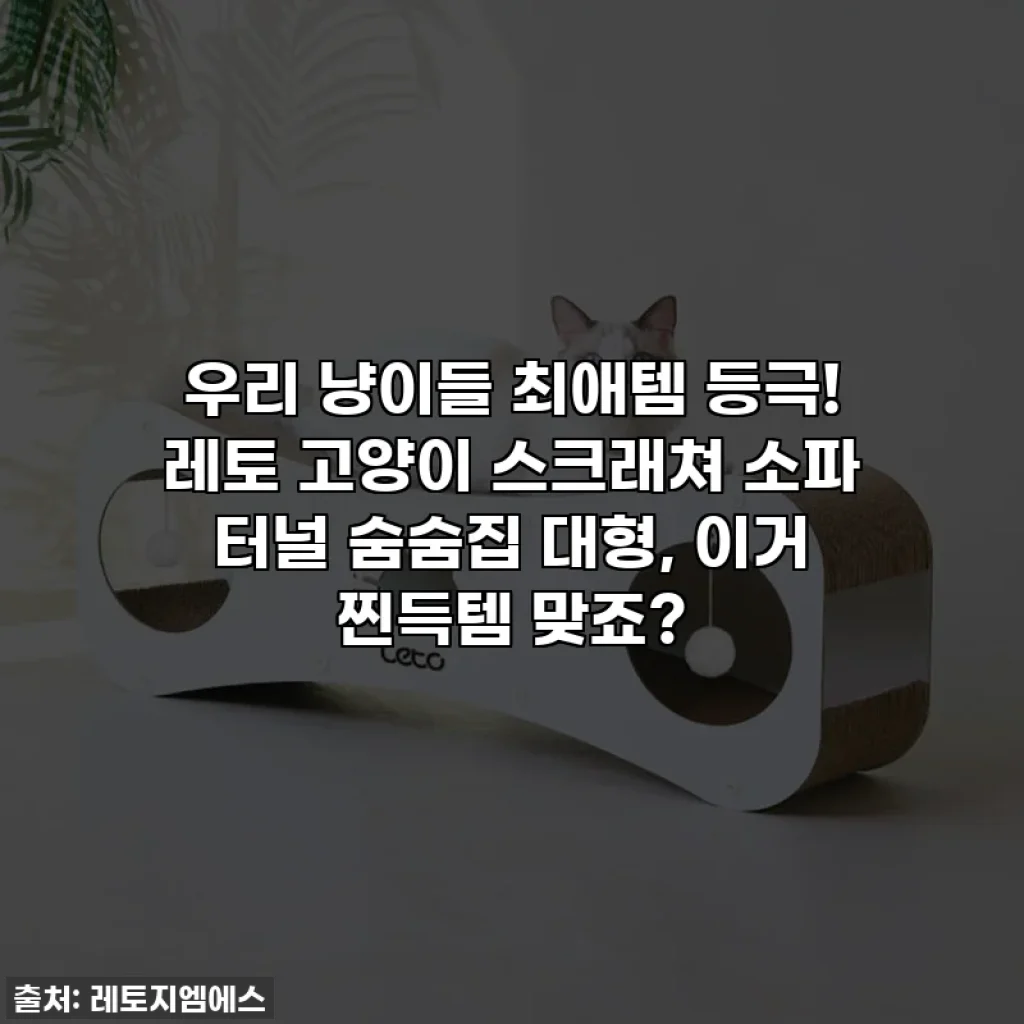 우리 냥이들 최애템 등극! 레토 고양이 스크래쳐 소파 터널 숨숨집 대형, 이거 찐득템 맞죠?