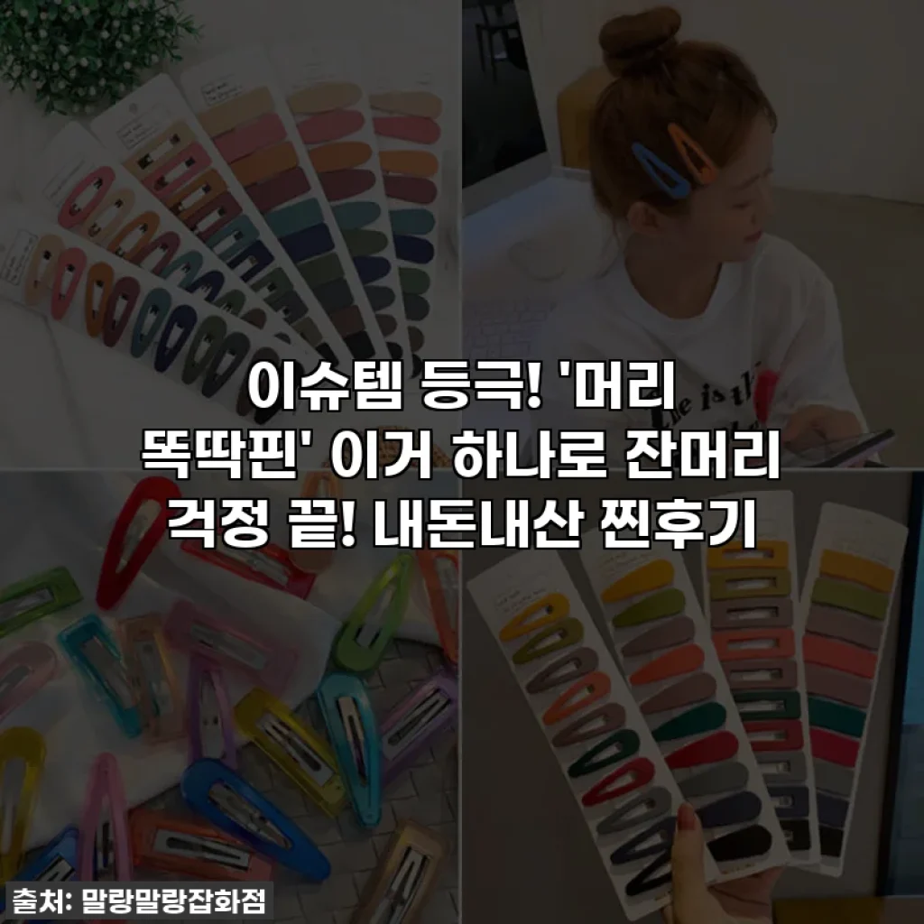 이슈템 등극! '머리 똑딱핀' 이거 하나로 잔머리 걱정 끝! 내돈내산 찐후기