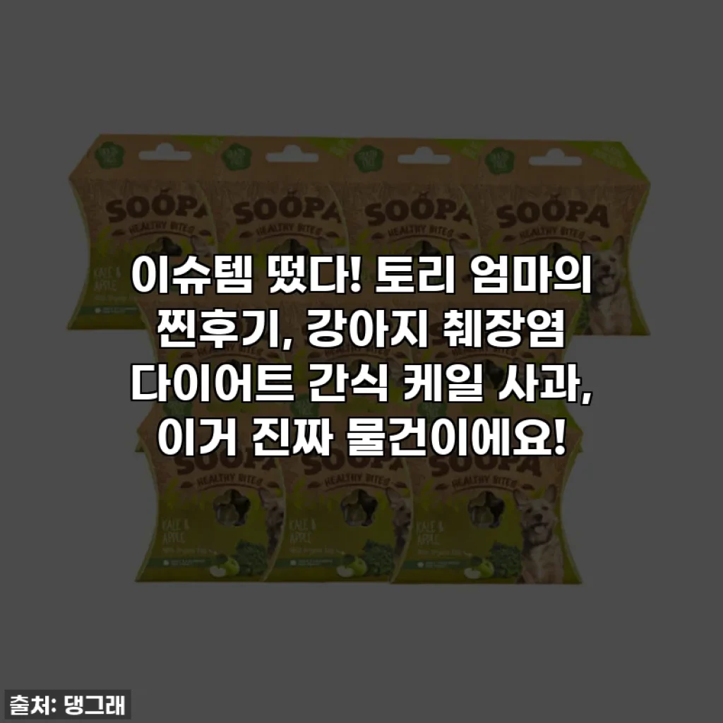 이슈템 떴다! 토리 엄마의 찐후기, 강아지 췌장염 다이어트 간식 케일 사과, 이거 진짜 물건이에요!