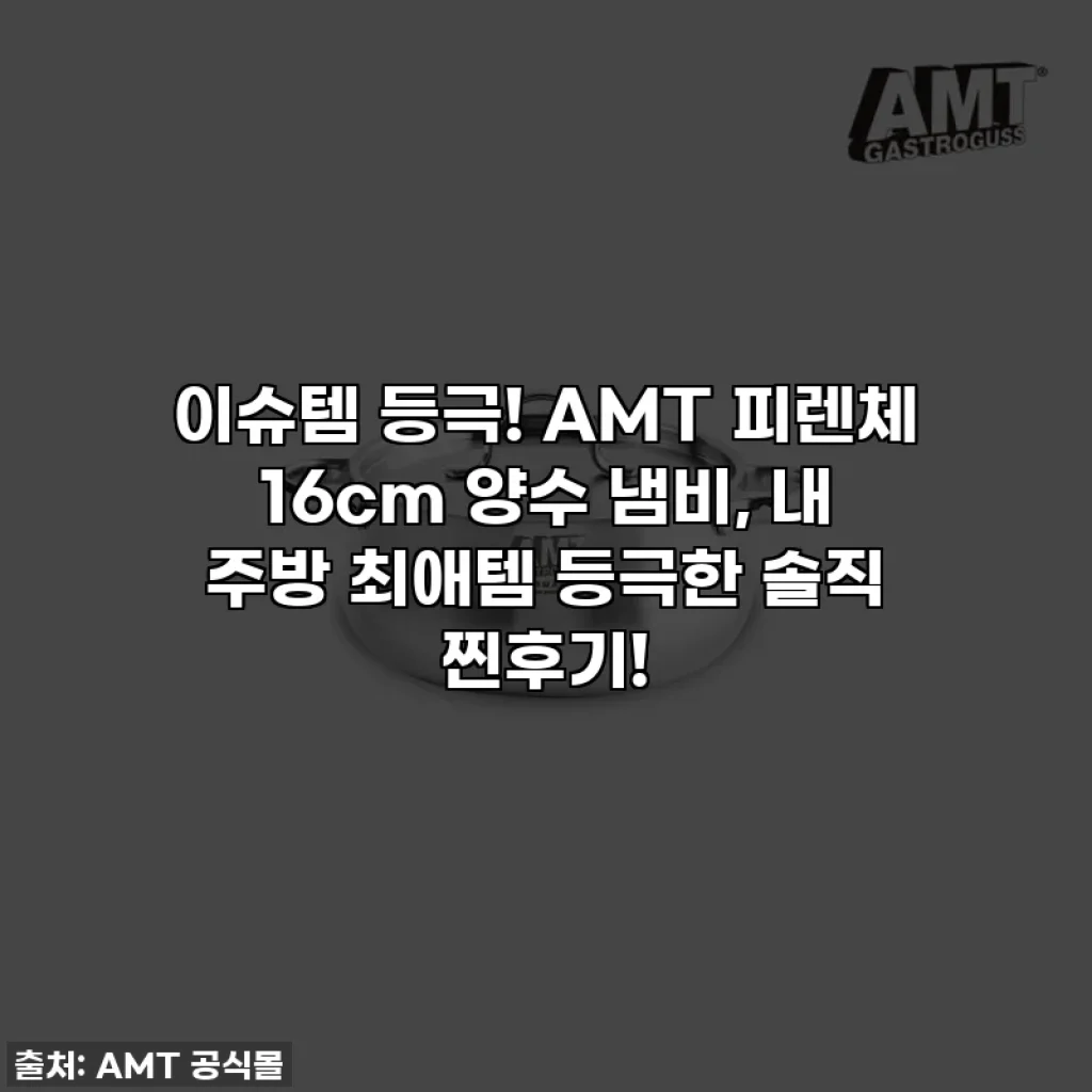 이슈템 등극! AMT 피렌체 16cm 양수 냄비, 내 주방 최애템 등극한 솔직 찐후기!