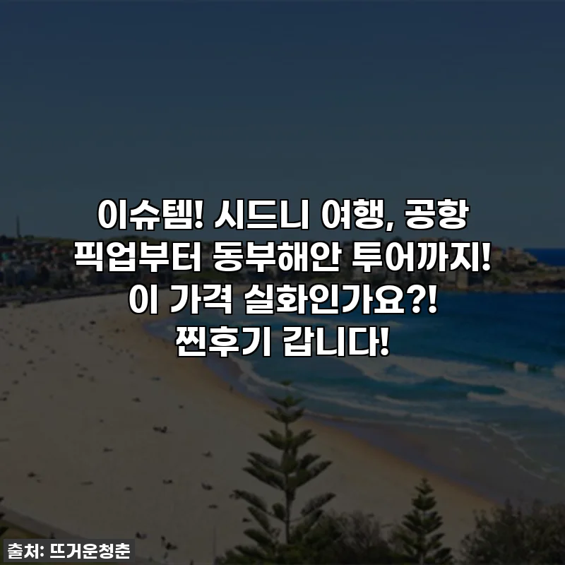 이슈템! 시드니 여행, 공항 픽업부터 동부해안 투어까지! 이 가격 실화인가요?! 찐후기 갑니다!