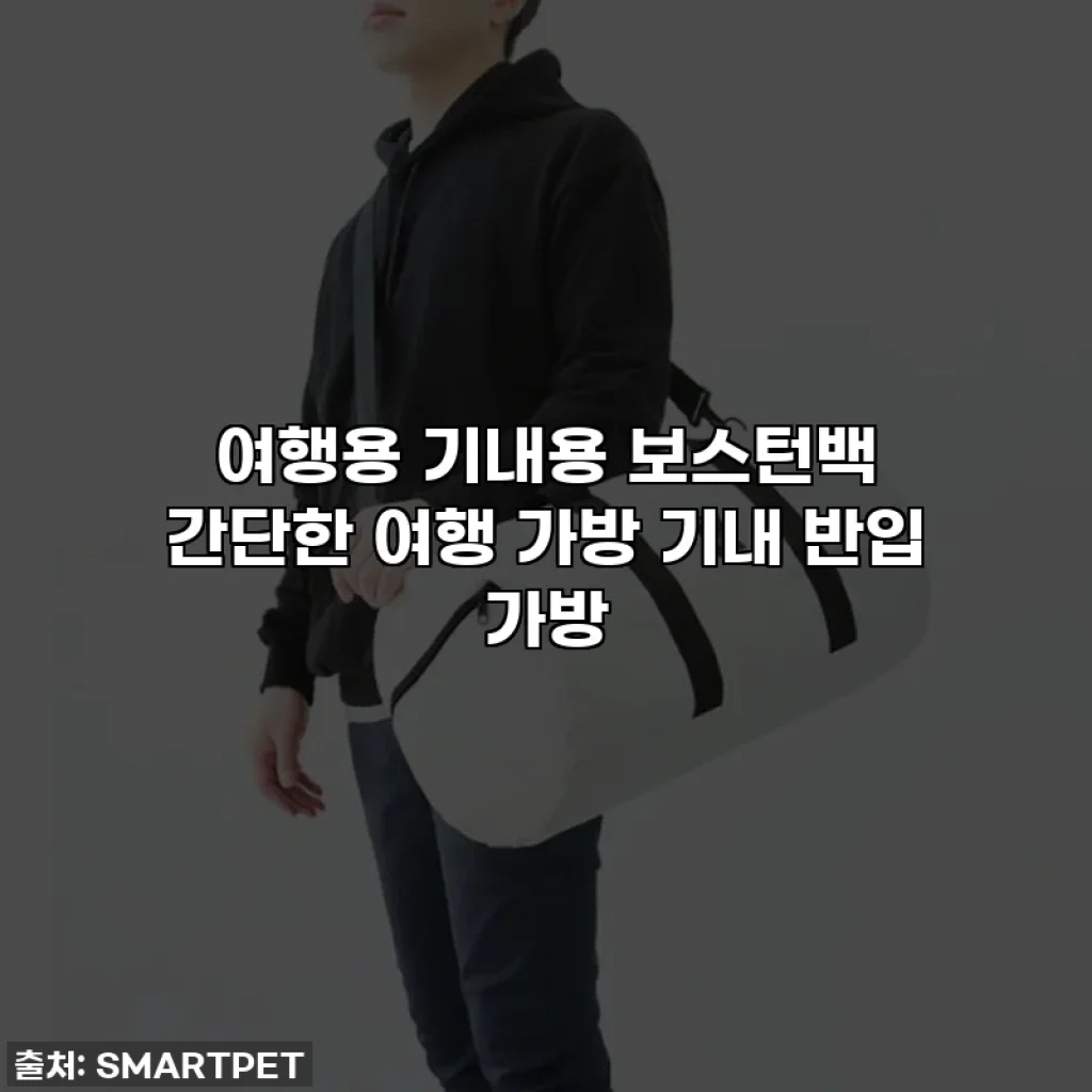 여행용 기내용 보스턴백 간단한 여행 가방 기내 반입 가방