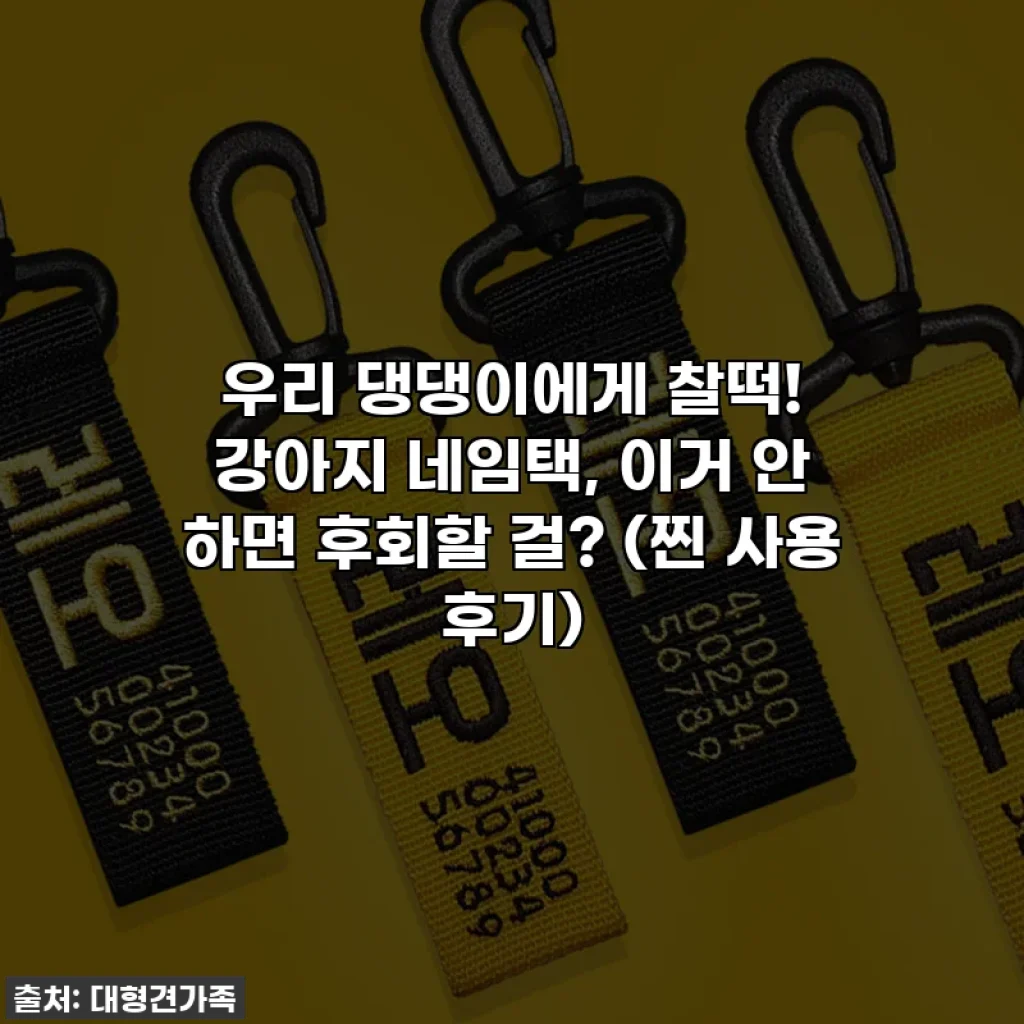 우리 댕댕이에게 찰떡! 강아지 네임택, 이거 안 하면 후회할 걸? (찐 사용 후기)