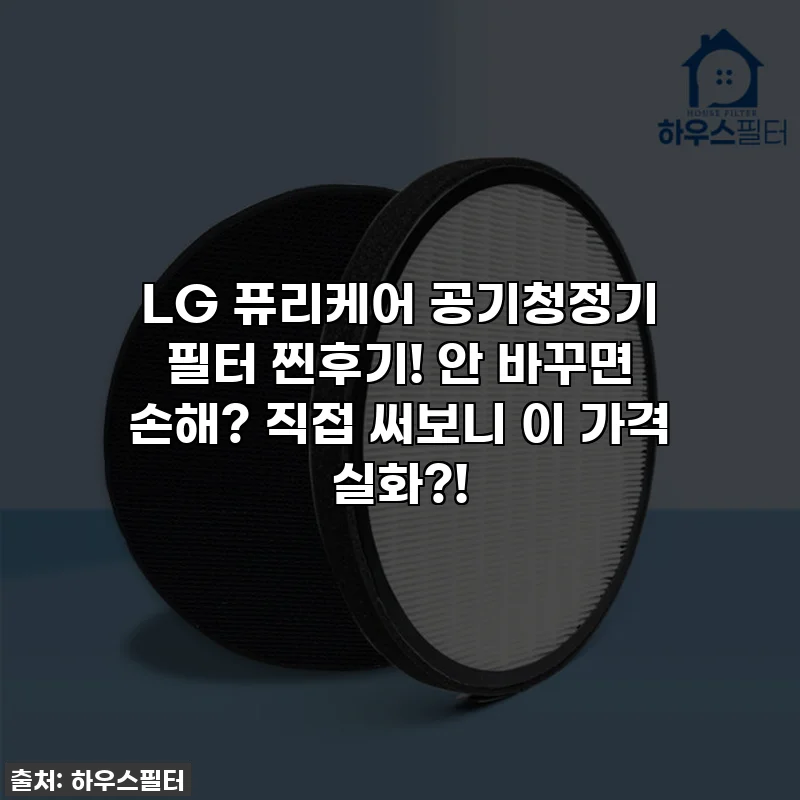 LG 퓨리케어 공기청정기 필터 찐후기! 안 바꾸면 손해? 직접 써보니 이 가격 실화?!