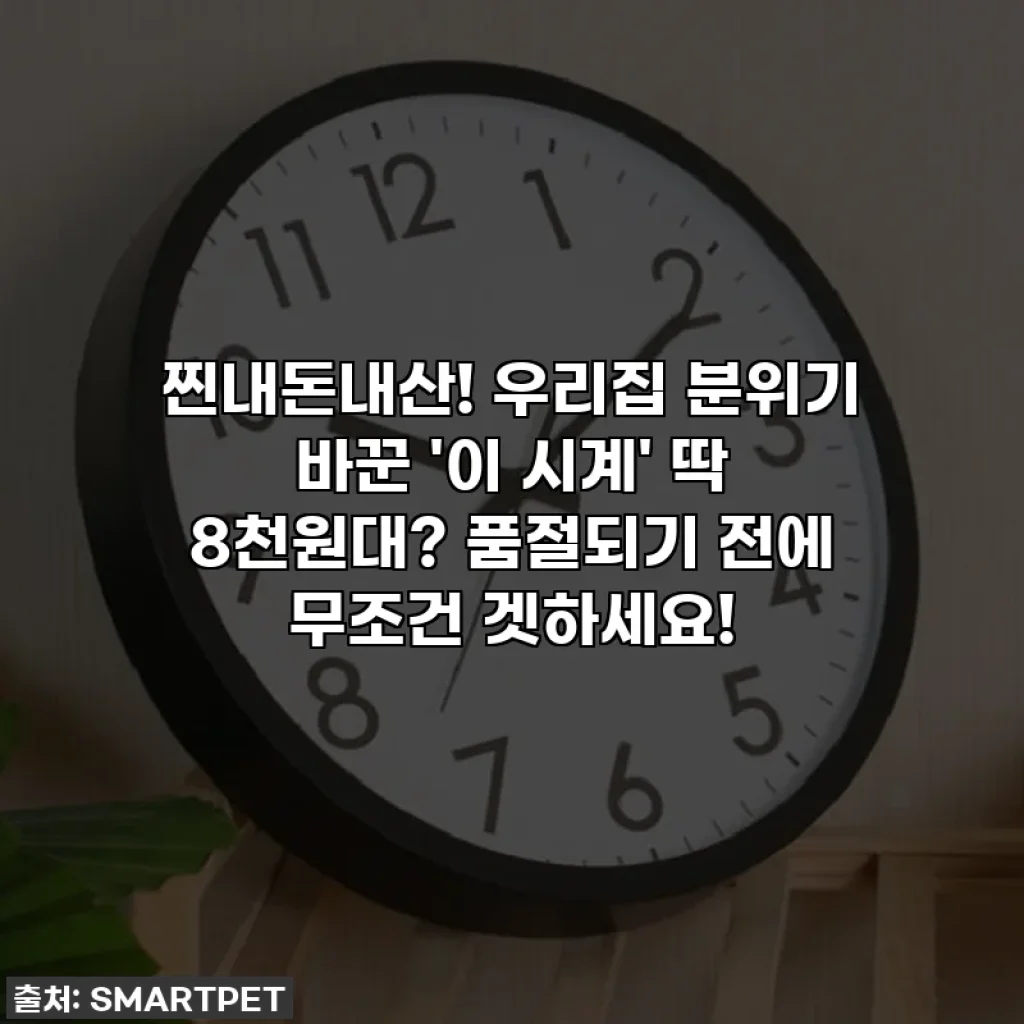 찐내돈내산! 우리집 분위기 바꾼 '이 시계' 딱 8천원대? 품절되기 전에 무조건 겟하세요!