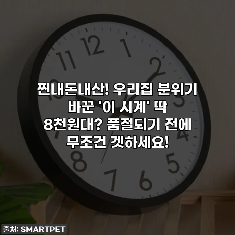 찐내돈내산! 우리집 분위기 바꾼 '이 시계' 딱 8천원대? 품절되기 전에 무조건 겟하세요!
