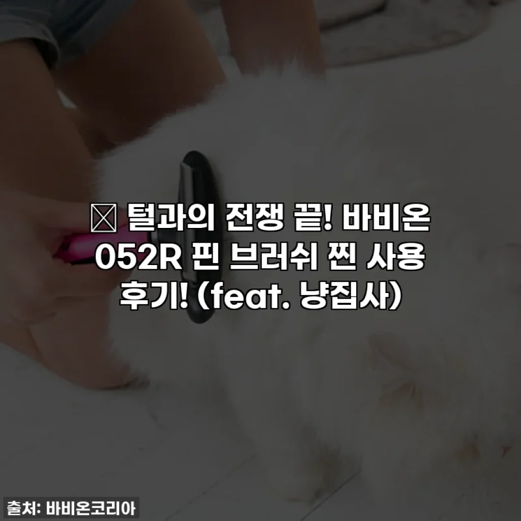 🐾 털과의 전쟁 끝! 바비온 052R 핀 브러쉬 찐 사용 후기! (feat. 냥집사)