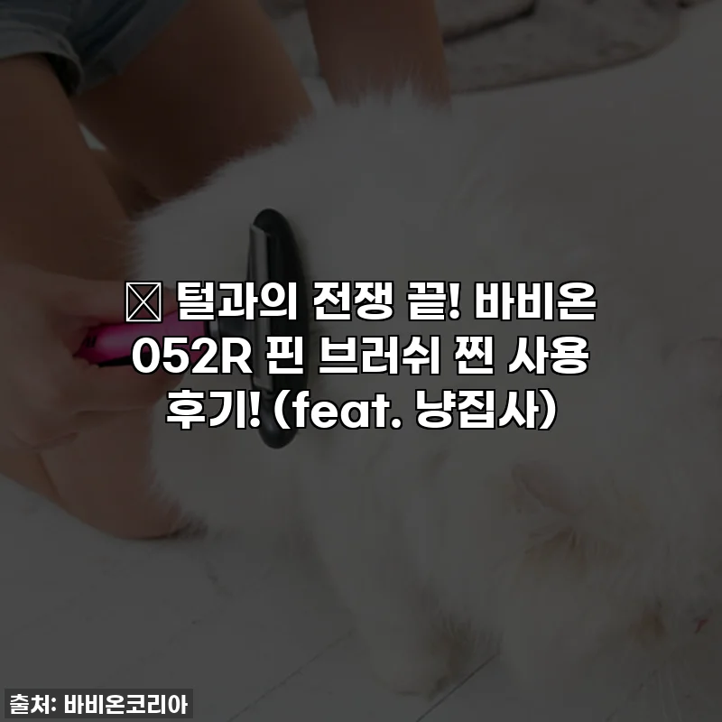 🐾 털과의 전쟁 끝! 바비온 052R 핀 브러쉬 찐 사용 후기! (feat. 냥집사)